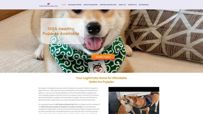 Tadashishibainu.com - Shibhainu Puppy Scam Review