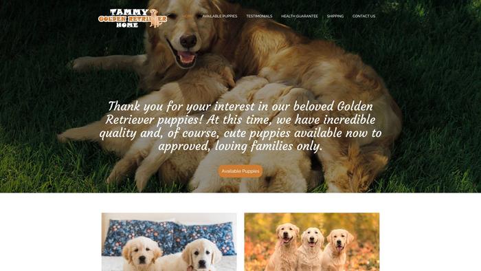 Tammygoldenretrieverhome.com - Golden Retriever Puppy Scam Review