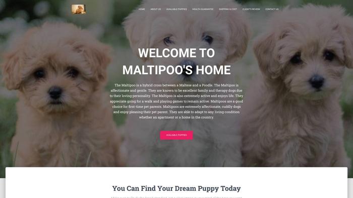 Teacupmaltipoobreedershome.com - Maltipoo Puppy Scam Review