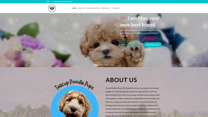 Teacuppoodlepups.com - Poodle Puppy Scam Review