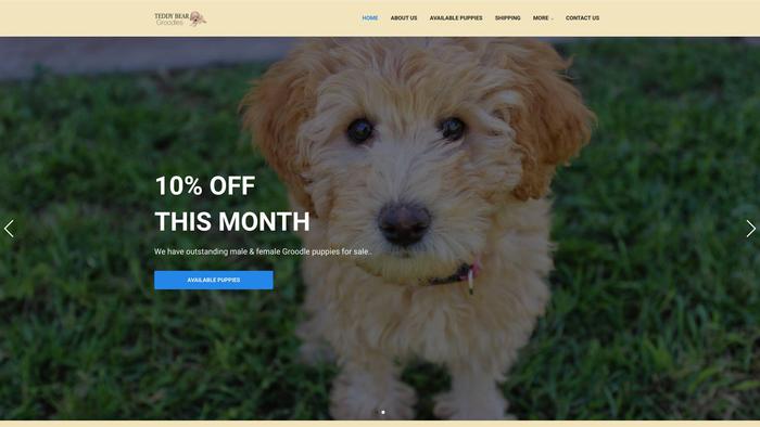 Teddybeargroodles.shop - Golden Doodle Puppy Scam Review