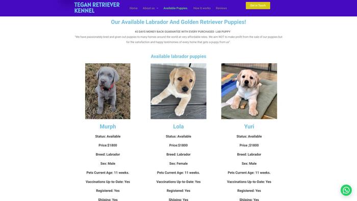 Teganpureretrieverkennel.com - Golden Retriever Puppy Scam Review