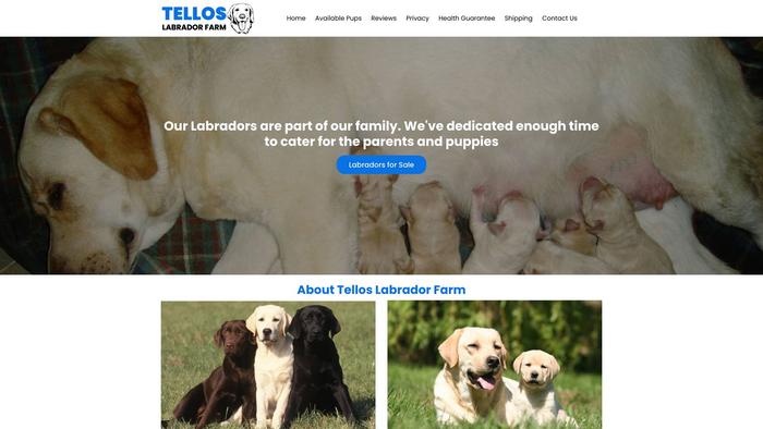 Telloslabradorfarm.com - Labrador Puppy Scam Review