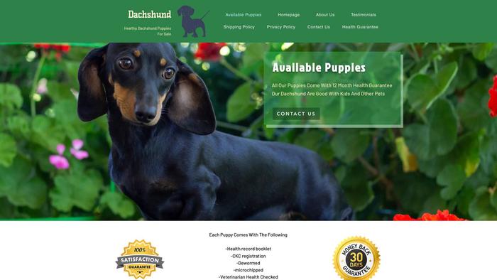 Thedachshundpuppy.com - Dachshund Puppy Scam Review