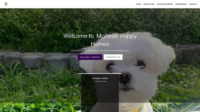 Themaltesehome.com - Maltese Puppy Scam Review