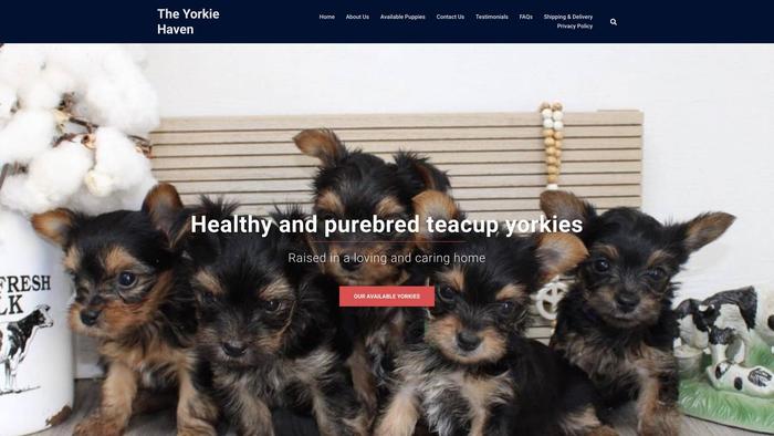 Theyorkiehaven.com - Yorkshire Terrier Puppy Scam Review