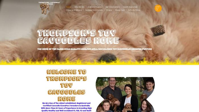 Thompsonscavoodlepuppies.com - Cavapoo Puppy Scam Review