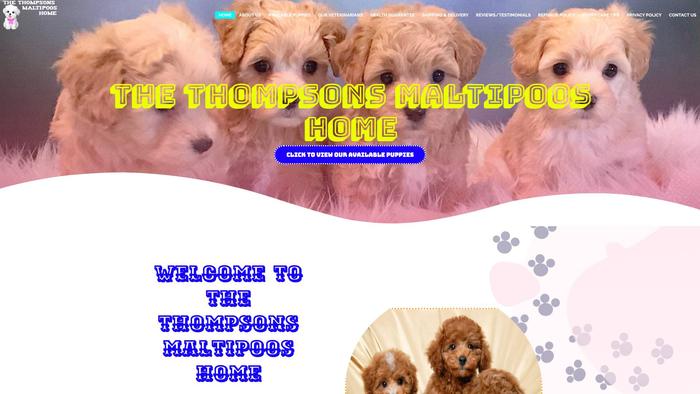 Thompsonsmaltipooshome.com - Maltipoo Puppy Scam Review