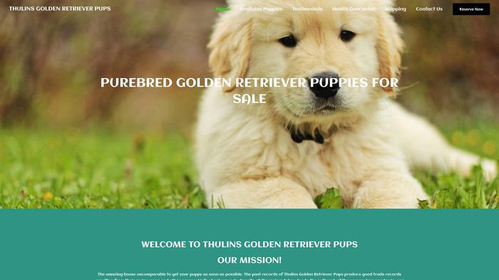 Thulinsgoldenretrieverpups.com - Golden Retriever Puppy Scam Review