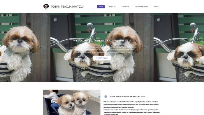 Tobianshihtzupups.com - Shihtzu Puppy Scam Review