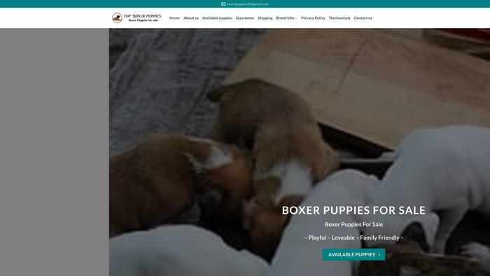 Topboxerpuppies.com - Boxer Puppy Scam Review