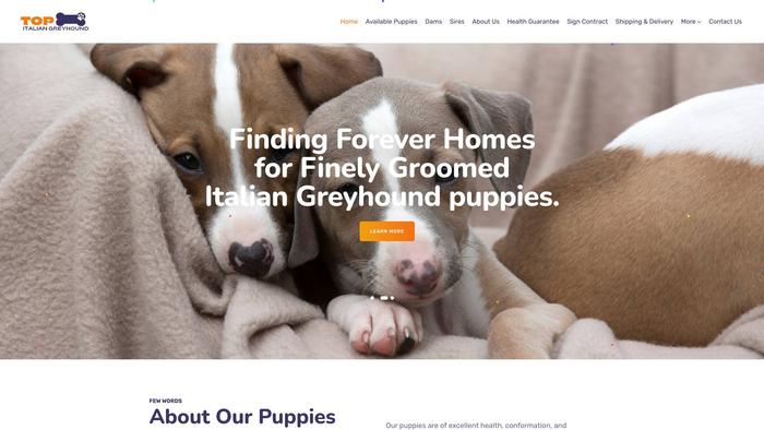 Topitaliangreyhoundpuppies.com - Labradoodle Puppy Scam Review