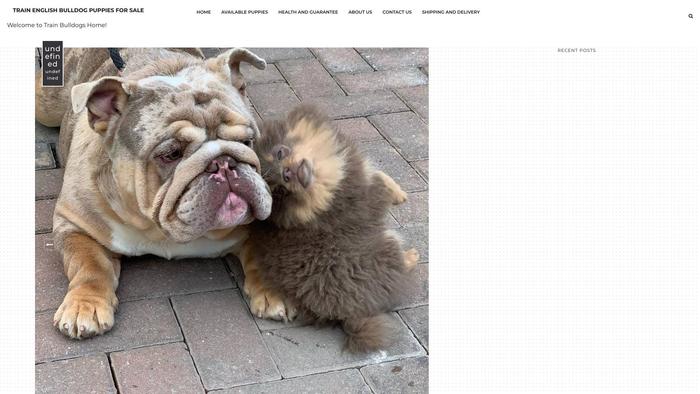 Trianbulldogshome.dog - Bulldog Puppy Scam Review