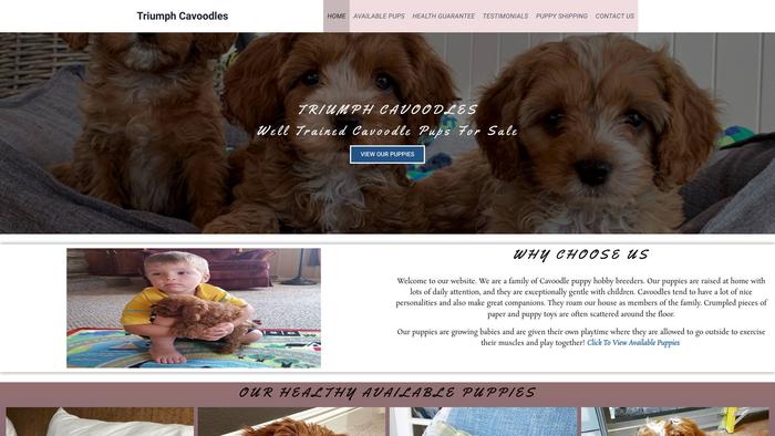 Triumphcavoodles.com - Cavapoo Puppy Scam Review