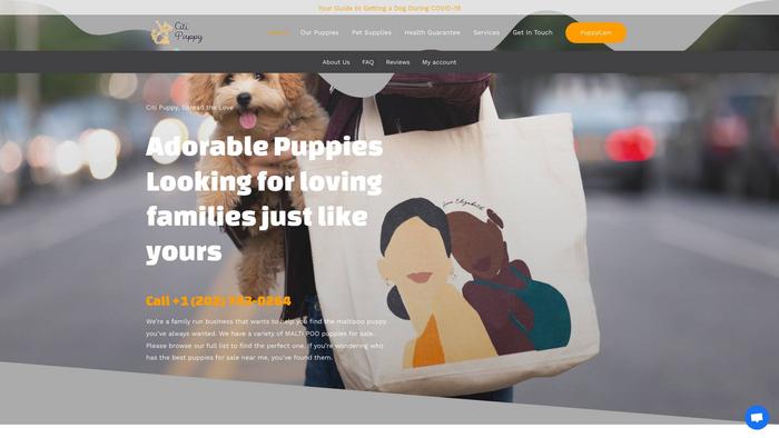 Truefriendlypuppies.com - Cavapoo Puppy Scam Review