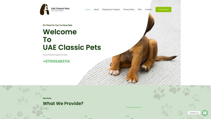 Uae-classicpets.com - Golden Retriever Puppy Scam Review