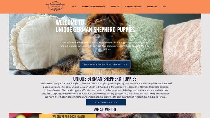 Uniquegermanshepherdpuppies.com - Germanshepherd Puppy Scam Review