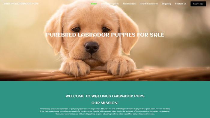 Wallingslabradorpups.com - Labrador Puppy Scam Review