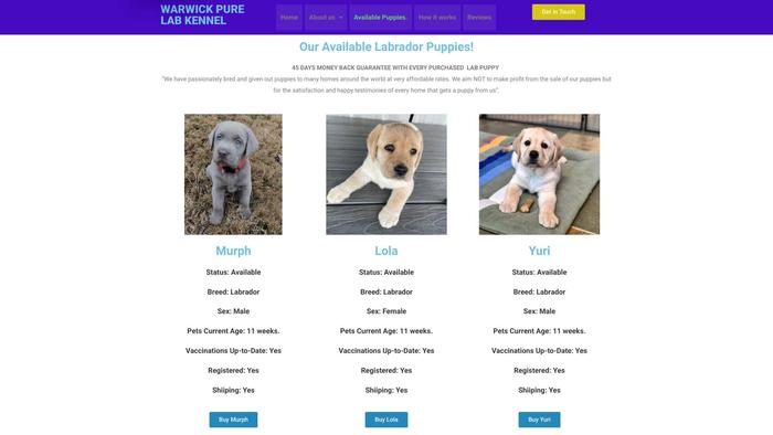 Warwickpurelabradorkennel.com - Labrador Puppy Scam Review