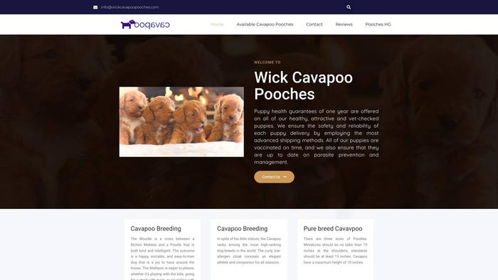 Wickcavapoopooches.com - Cavapoo Puppy Scam Review