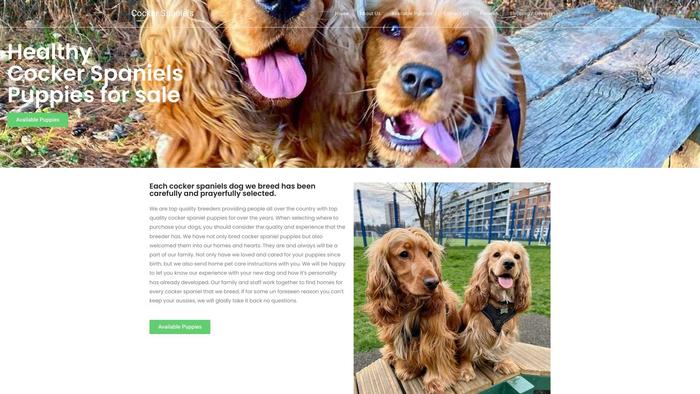 Winsomecockerspaniels.store - Cockerspaniel Puppy Scam Review