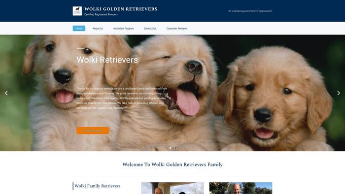 Wolkifamilygoldenretrievers.online - Golden Retriever Puppy Scam Review