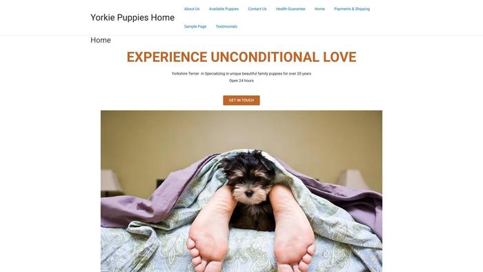 Yorkiepuppies-home.com - Yorkshire Terrier Puppy Scam Review