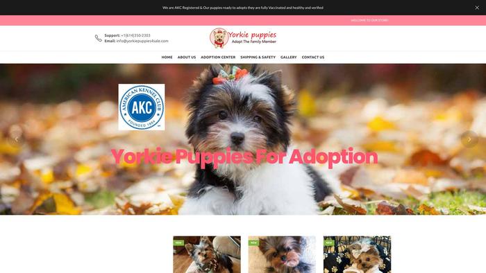 Yorkiepuppies4sale.com - Yorkshire Terrier Puppy Scam Review