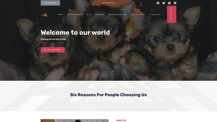 Yorkiepups.store - Yorkshire Terrier Puppy Scam Review