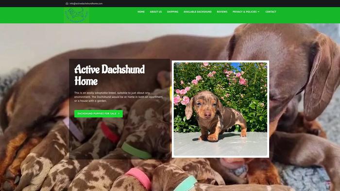 Activedachshundhome.com - Dachshund Puppy Scam Review