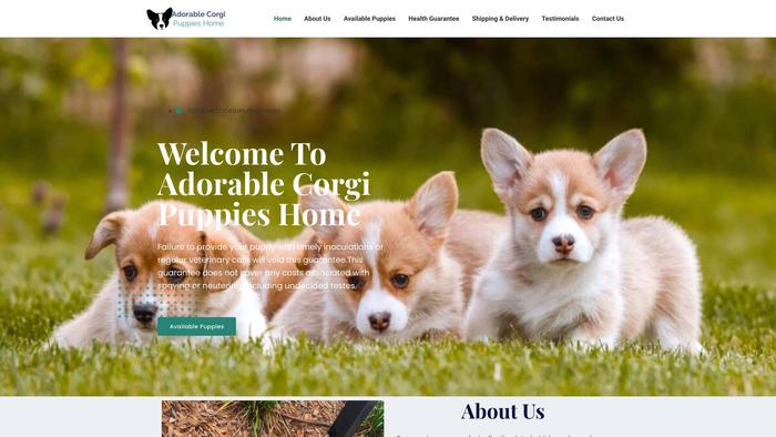 Adorablecorgipuppieshome.com - Corgi Puppy Scam Review