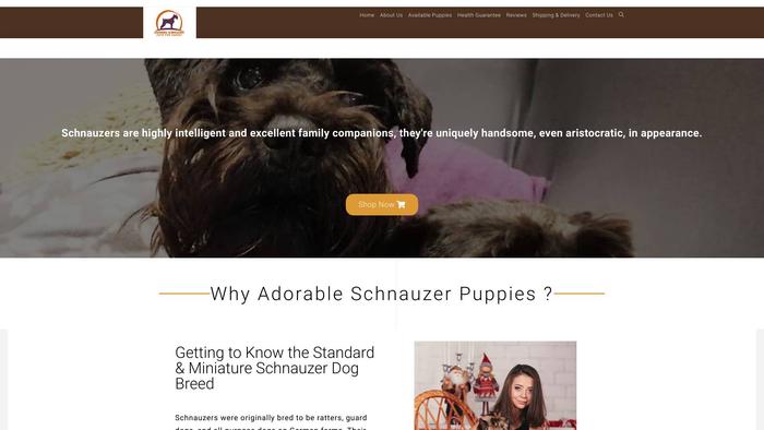 Adorableschnauzerpuppies.live - Schnauzer Puppy Scam Review