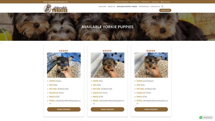 Adorableyokiepuppies.com - Yorkshire Terrier Puppy Scam Review