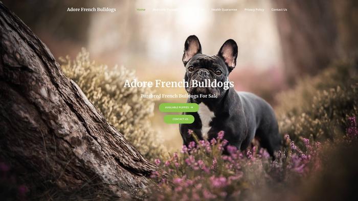 Adorefrenchbulldogs.com - French Bulldog Puppy Scam Review