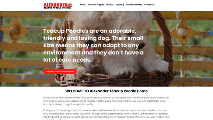 Alexanderteacuppoodlehome.com - Poodle Puppy Scam Review