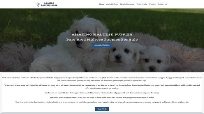 Amazing-maltesepups.com - Maltese Puppy Scam Review