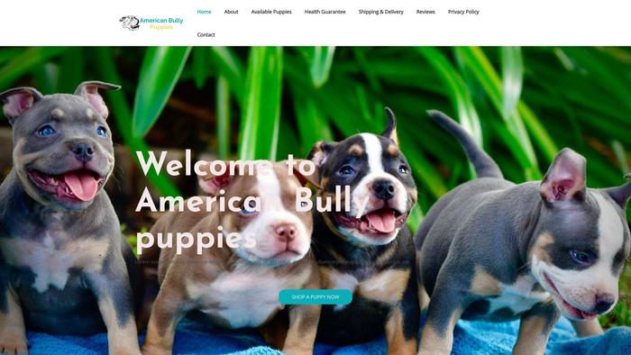 Americanbullypuppie.online - Pit Bull Puppy Scam Review