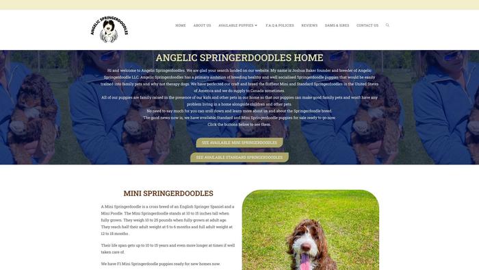 Angelicspringerdoodles.com - Labradoodle Puppy Scam Review