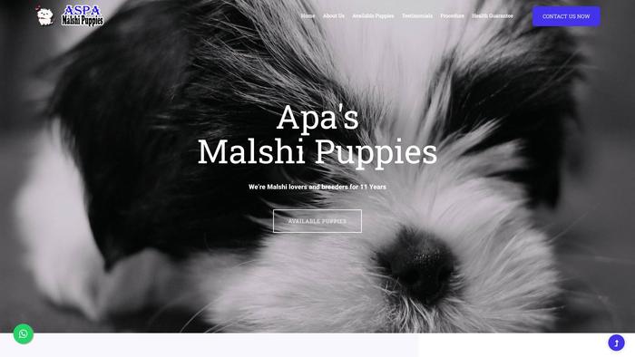 Aspamalshipuppies.com - Maltipoo Puppy Scam Review