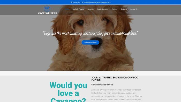 Availablecavapoopuppies.com - Cavapoo Puppy Scam Review