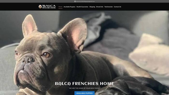 Balcafrenchbulldogpups.com - French Bulldog Puppy Scam Review