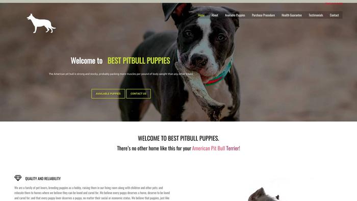 Bestpitbullpuppies.com - Pit Bull Puppy Scam Review