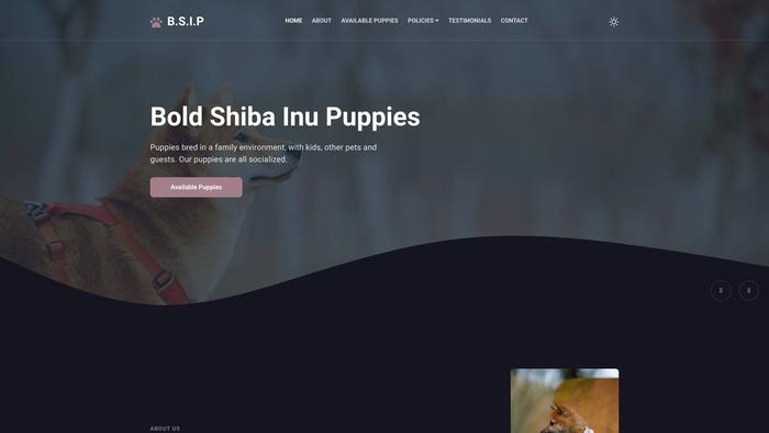 Boldshibainupuppies.com - Shibhainu Puppy Scam Review