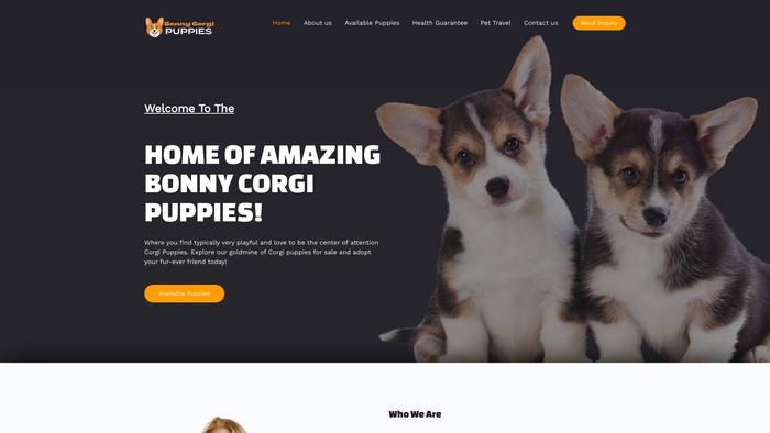 Bonnycorgipuppies.com - Corgi Puppy Scam Review