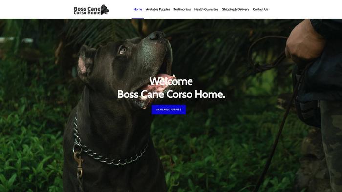 Bosscanecorsohome.com - Cane Corso Puppy Scam Review