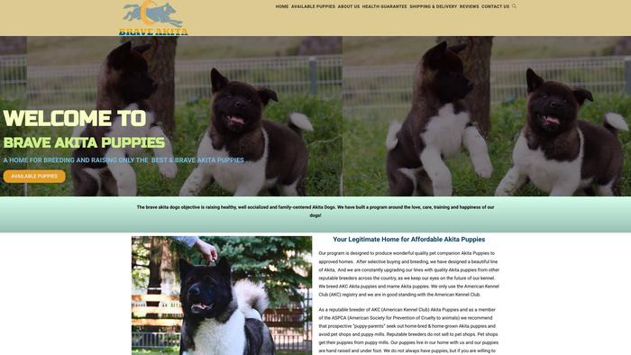 Braveakitapuppies.com - Akita Puppy Scam Review