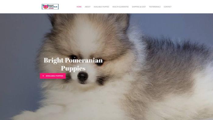 Brightpomeranianpuppies.com - Pomeranian Puppy Scam Review