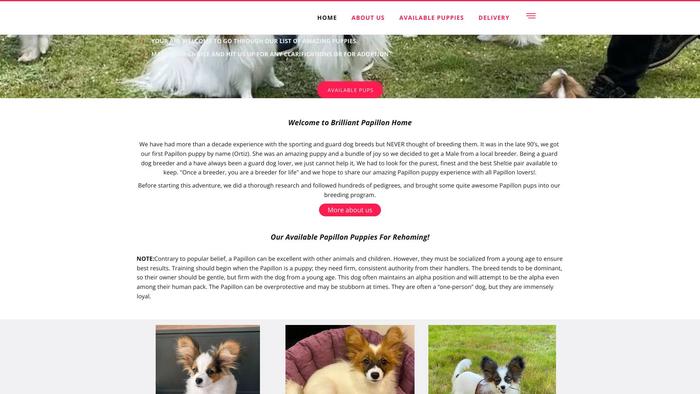 Brilliantpapillon.store - Papillon Puppy Scam Review