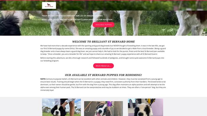 Brilliantsaintbernard.store - Saint Bernard Puppy Scam Review