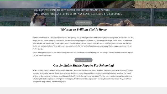 Brilliantsheltie.store - Sheltie Puppy Scam Review